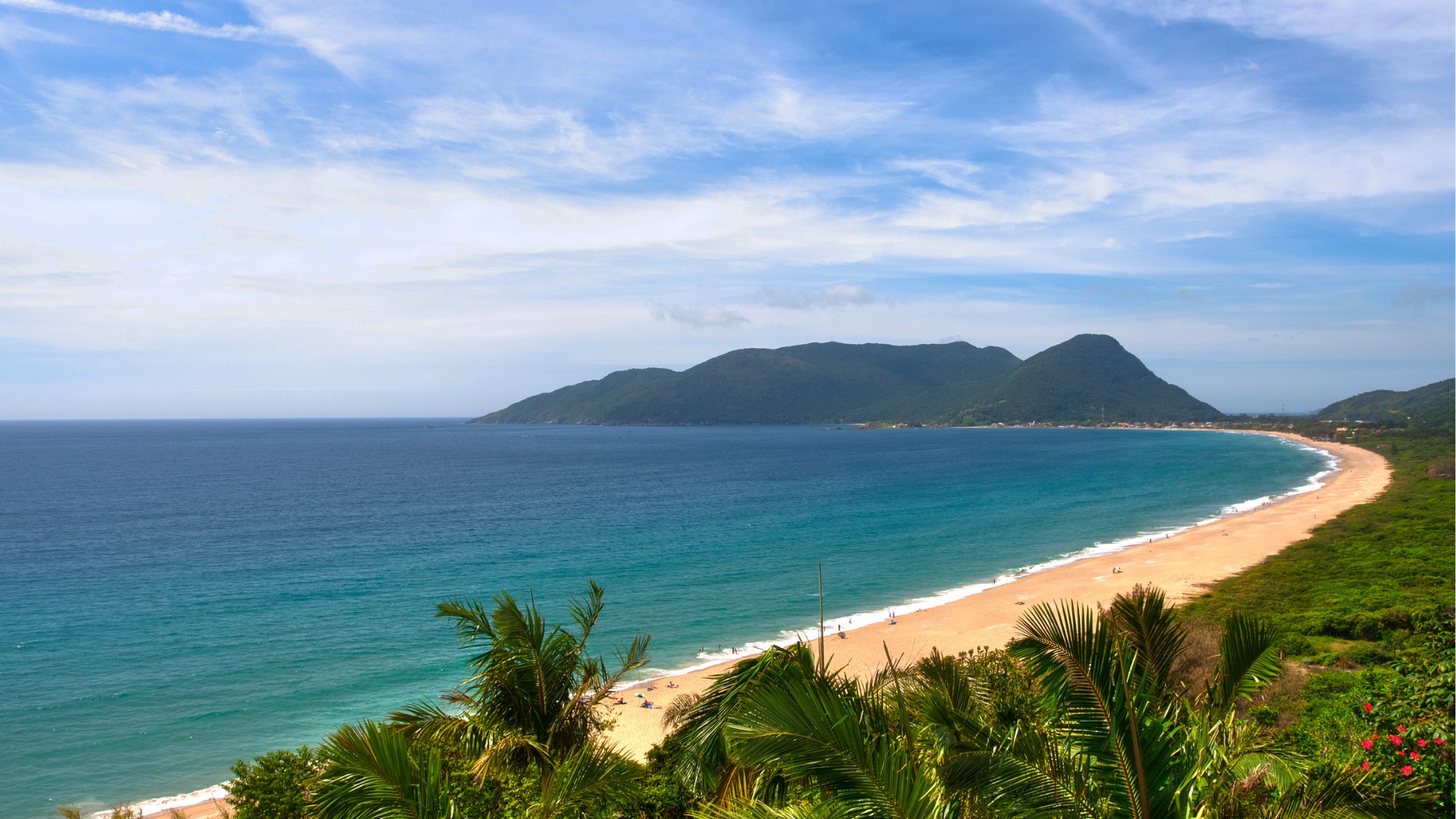Floripa — длинный пляж сверху сквозь tropical palm в передней раме
